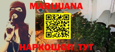 шишки Аша