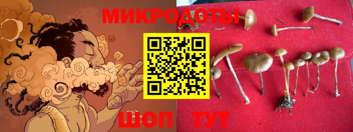 Вышний Волочёк  Псилоцибиновые грибы мухоморы  Вход с VPN  Псилоцибиновые грибы GOLDEN TEACHER 
