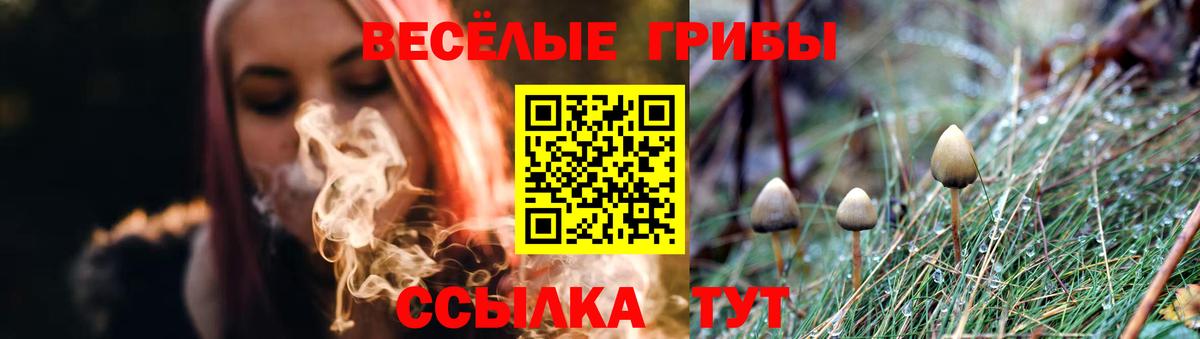 Псилоцибиновые грибы мицелий Вышний Волочёк
